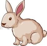 Ilustración Chubby Bunny